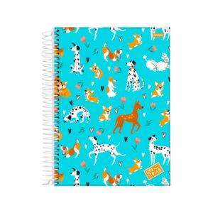 Caderno 20 Matéria Universitario Feminino 320 Folhas Stella Jandaia