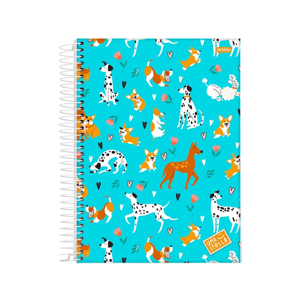 Caderno 20 Matéria Universitario Feminino 320 Folhas Stella Jandaia