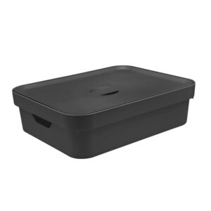 Caixa organizadora Ou 16L Linha com tampa Linha Cube