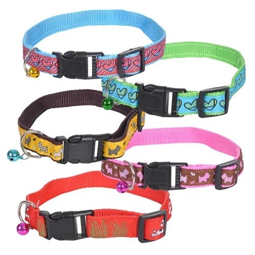 Coleira Cachorro 1,5 x 37cm Meu Pet Poliéster Tam.p Para Cãos E Gatos