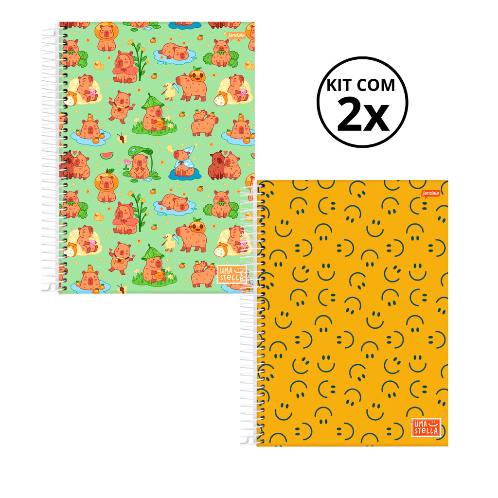 Kit 02 Cadernos Universitário 20 Matérias 320 Folhas Stella Jandaia