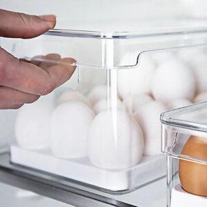 Organizador de ovos com tampa 14, 21 e 36un Linha Clear Fresh OU