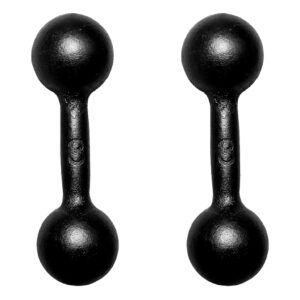 Par Halter Bola Pintado 3kg Treino Musculação Peso Livre Funcional