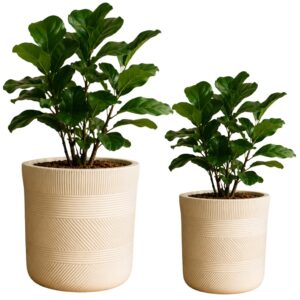 Vaso de Plantas Branco Texturizado Moderno para Decoração Salas e