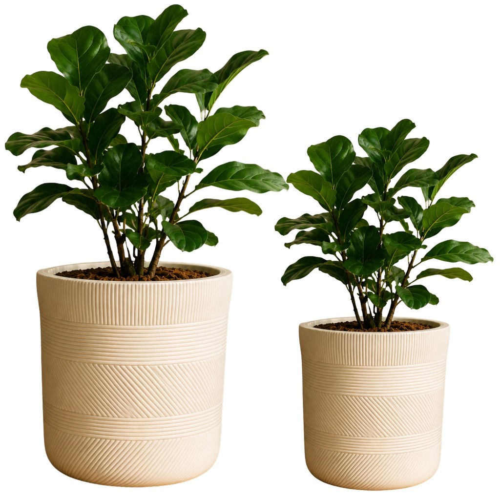 Vaso de Plantas Branco Texturizado Moderno para Decoração Salas e